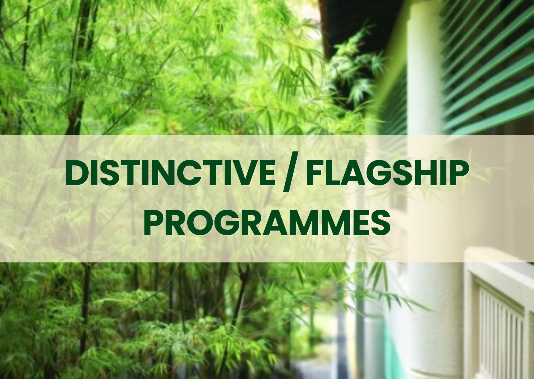 Distinctive / Flagship Programmes
